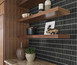 Black trapezoid mosaic tile accent wall with dark wood shelves and potted plants on counter